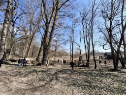 PIERWSZY DZIEŃ WIOSNY