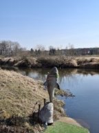 PIERWSZY DZIEŃ WIOSNY